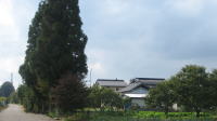 田園風景