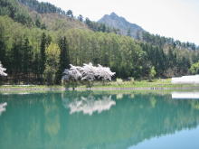 塩野池