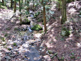 塩野神社の沢