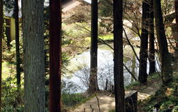 静寂の池