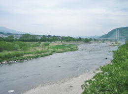 千曲川の河岸